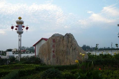 潍坊柴油发电机厂家华全来到商水
