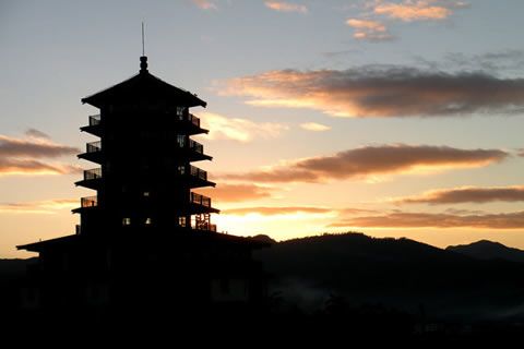 潍坊柴油发电机厂家华全动力
