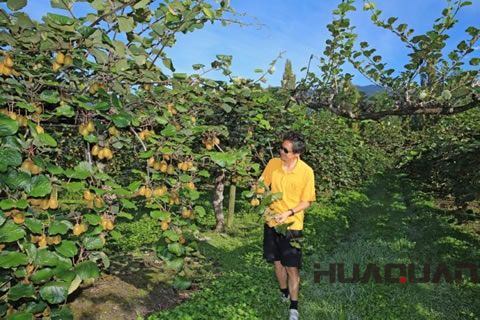 潍坊柴油发电机组厂家华全特别关注